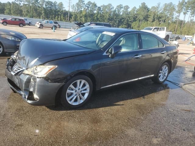 2010 Lexus ES 350