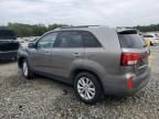 2015 KIA Sorento EX