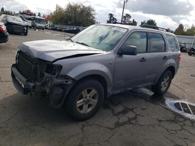 2008 Ford Escape HEV