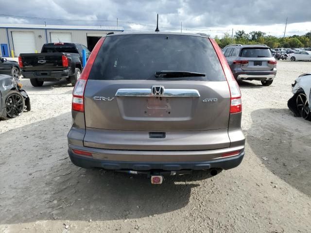 2010 Honda CR-V EX