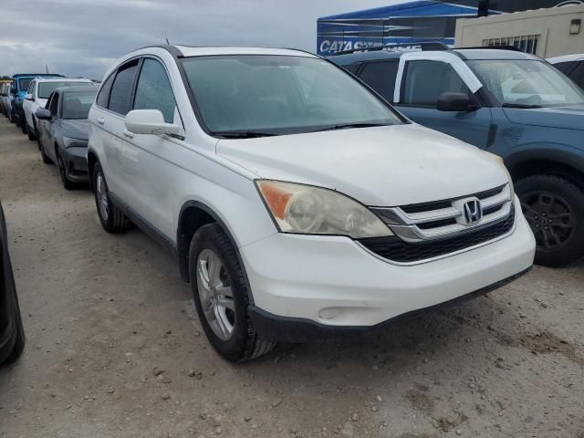 2010 Honda CR-V EXL