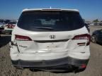 2022 Honda Pilot Trailsport