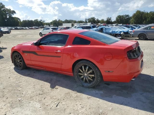 2013 Ford Mustang