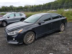 Salvage cars for sale at Baltimore, MD auction: 2019 Hyundai Sonata SE