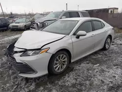 Toyota salvage cars for sale: 2023 Toyota Camry LE