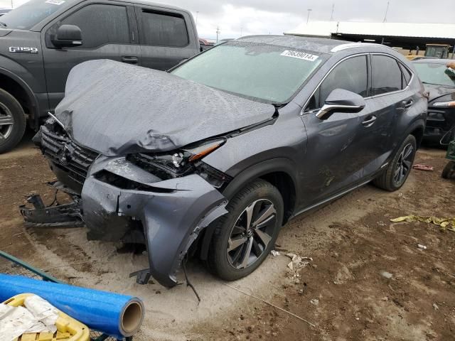 2019 Lexus NX 300H