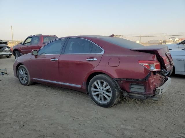 2010 Lexus ES 350