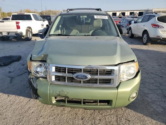 2008 Ford Escape XLT