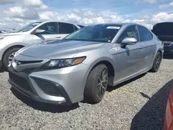 2021 Toyota Camry SE en venta en Riverview, FL