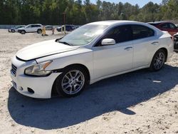 Nissan Vehiculos salvage en venta: 2011 Nissan Maxima S