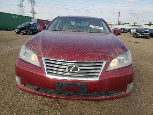 2010 Lexus ES 350