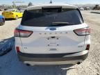 2020 Ford Escape SE Sport