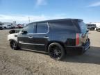 2008 Cadillac Escalade Luxury