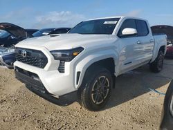 Salvage cars for sale from Copart Arcadia, FL: 2024 Toyota Tacoma Double Cab