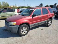 Ford salvage cars for sale: 2005 Ford Escape XLT