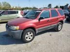 2005 Ford Escape XLT