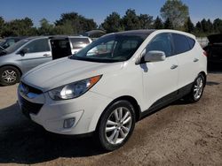 Vehiculos salvage en venta de Copart Elgin, IL: 2010 Hyundai Tucson GLS