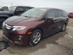 Salvage cars for sale at Arcadia, FL auction: 2020 Honda Odyssey EXL