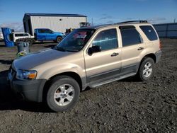 Salvage cars for sale at Airway Heights, WA auction: 2007 Ford Escape XLT