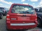 2010 Ford Escape XLS