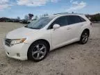 2009 Toyota Venza