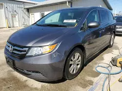 Honda salvage cars for sale: 2014 Honda Odyssey EXL