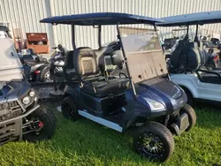 Salvage motorcycles for sale at Riverview, FL auction: 2021 Aspt Golf Cart