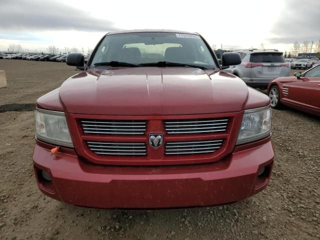 2008 Dodge Dakota SXT