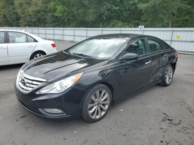 2011 Hyundai Sonata SE