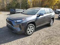 Salvage cars for sale at Cookstown, ON auction: 2023 Toyota Rav4 LE