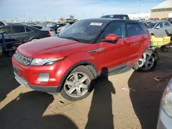 Salvage cars for sale at Brighton, CO auction: 2015 Land Rover Range Rover Evoque Pure Premium