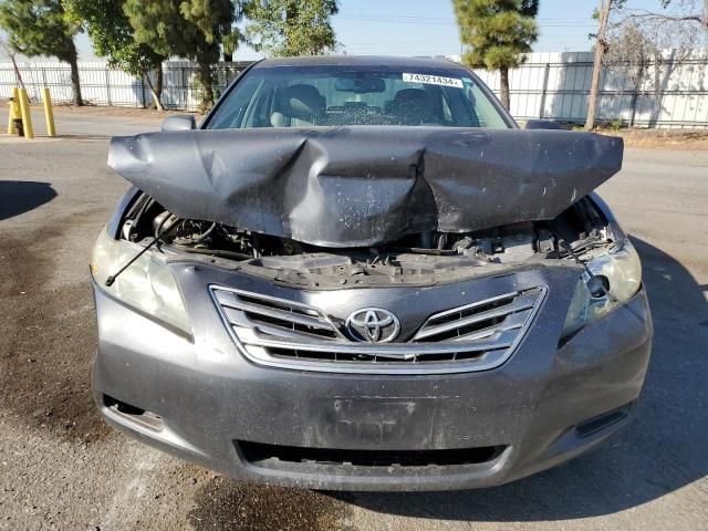 2009 Toyota Camry Hybrid