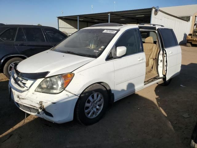 2009 Honda Odyssey EXL