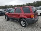 2005 Ford Escape XLT