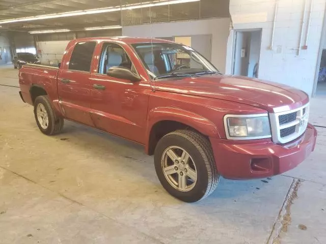 2008 Dodge Dakota SXT