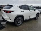 2023 Lexus NX 250