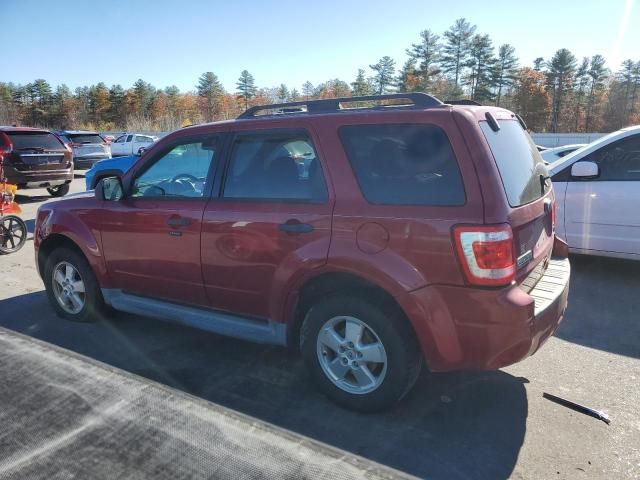 2010 Ford Escape XLT