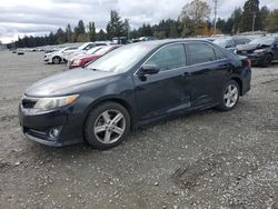 Salvage cars for sale at Graham, WA auction: 2014 Toyota Camry L