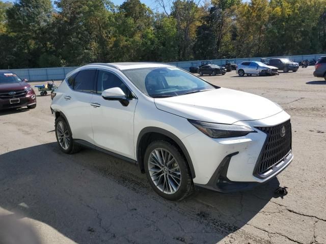 2022 Lexus NX 350