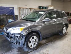 2010 Honda CR-V EXL en venta en Elgin, IL