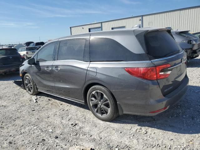 2024 Honda Odyssey Elite