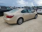 2007 Lexus LS 460