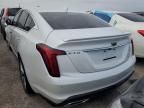 2024 Cadillac CT5 Premium Luxury