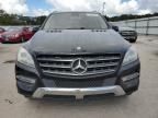 2014 Mercedes-Benz ML 350