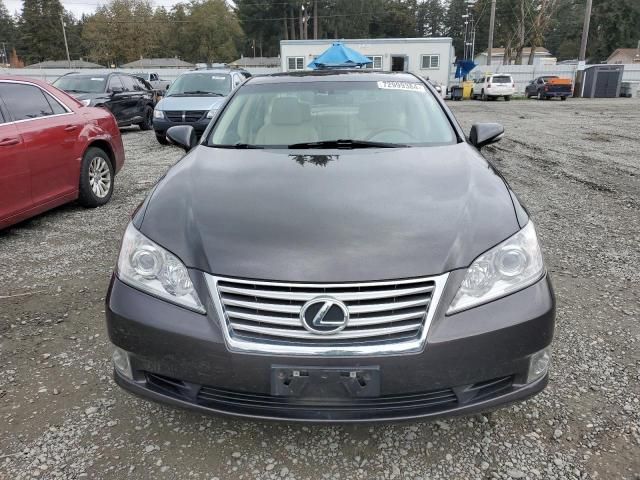 2011 Lexus ES 350