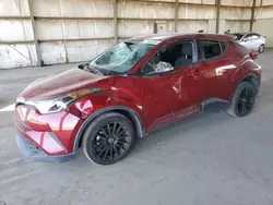 2019 Toyota C-HR XLE en venta en Phoenix, AZ