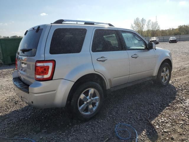 2010 Ford Escape Limited