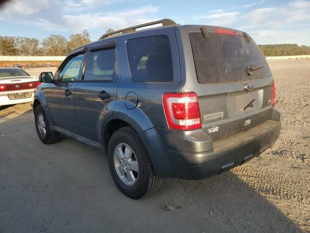 2010 Ford Escape XLT