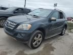 2010 Mercedes-Benz ML 350