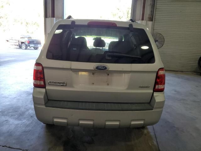 2008 Ford Escape XLT